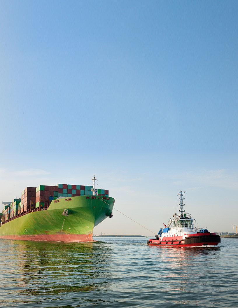 Tugboats Services Market Analysis North America, Europe, APAC, South America, Middle East and Africa - US, China, The Netherlands, Singapore, Germany, Japan, Italy, UK, South Korea, Vietnam - Size and Forecast 2025-2029