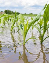 Crop Insurance Market Analysis North America, APAC, Europe, South America, Middle East and Africa - US, Canada, China, India, Spain - Size and Forecast 2024-2028