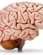 Neurophotonics Market by Application and Geography - Forecast and Analysis 2022-2026