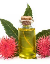 Castor Oil and its Derivatives Market by Product and Geography - Forecast and Analysis 2022-2026
