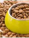 Taiwan Pet Food Market by Product, Type and Distribution Channel - Forecast and Analysis 2024-2028