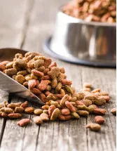 Pet Food Market in Russia by Product and Type - Forecast and Analysis 2022-2026