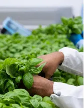 Hydroponic Nutrients Market by Type and Geography - Forecast and Analysis 2022-2026