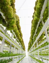 Vertical Farming Market by Product and Geography - Forecast and Analysis 2022-2026