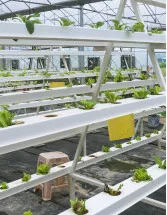 Aeroponics Market Analysis Europe, APAC, North America, South America, Middle East and Africa - US, Canada, Japan, China, The Netherlands - Size and Forecast 2024-2028