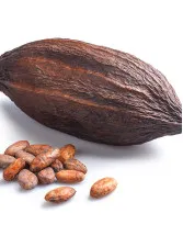 Cocoa Beans Market by Application, Product, and Geography - Forecast and Analysis 2023-2027