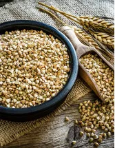 Wheat Protein Market - North America, Europe, EMEA, APAC : US, Canada, China, Germany, UK - Forecast 2022-2026