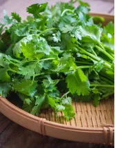 Coriander Oil Market by Application and Geography - Forecast and Analysis 2022-2026