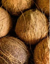 Copra Meal Market by Distribution Channel and Geography - Forecast and Analysis 2022-2026