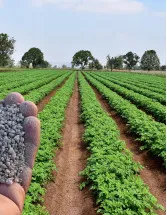 Azotobacter-based Biofertilizer Market by Application and Geography - Forecast and Analysis 2022-2026