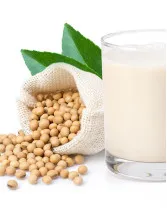 Soy Beverages Market by Type and Geography - Forecast and Analysis 2022-2026