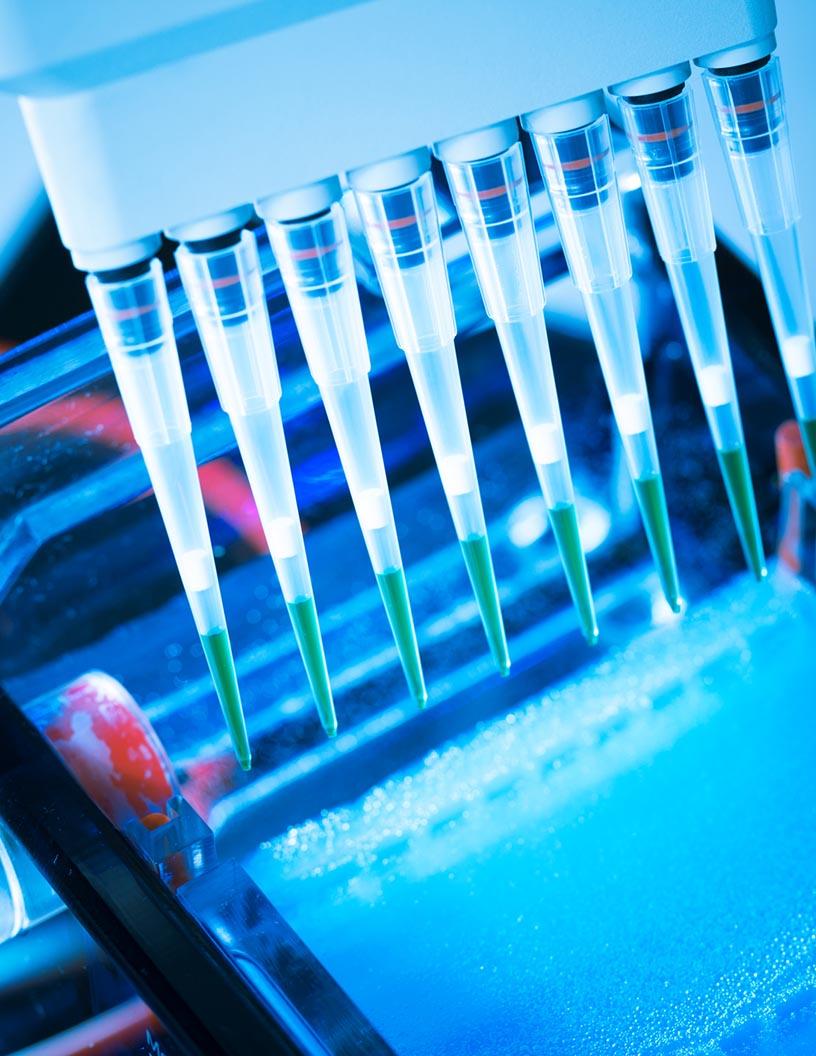 Recombinant Proteins Market Analysis, Size, and Forecast 2025-2029: North America (US and Canada), Europe (France, Germany, Italy, UK), Asia (China, India, Japan, South Korea), and Rest of World (ROW)