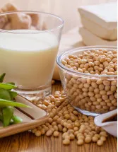 Soybean Derivatives Market Analysis North America, APAC, South America, Europe, Middle East and Africa - US, China, India, Brazil, Argentina - Size and Forecast 2024-2028