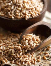 Spelt Market by Product and Geography - Forecast and Analysis 2022-2026