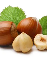Hazelnut Market by Type, End-user, and Geography - Forecast and Analysis 2022-2026