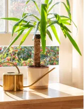 Yucca Extract Material Market by Type, Application, and Geography - Forecast and Analysis 2022-2026