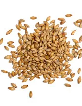 Malted Barley Market by Application and Geography - Forecast and Analysis 2022-2026