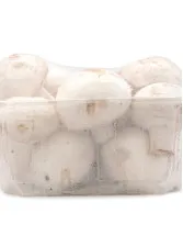 Mushroom Packaging Market by Distribution Channel and Geography - Forecast and Analysis 2022-2026