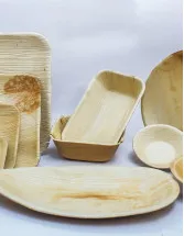 Disposable Plates Market by Distribution channel and Geography - Forecast and Analysis 2022-2026