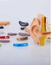 Hearing Amplifiers Market Analysis Europe, North America, Asia, Rest of World (ROW) - US, Germany, Italy, China, Japan - Size and Forecast 2024-2028