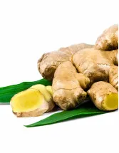 Ginger Market by Product type, Application, and Geography - Forecast and Analysis 2022-2026