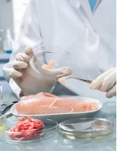 Food Pathogen Testing Market by Application and Geography - Forecast and Analysis 2022-2026