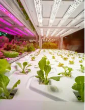 Grow Light Market by Application, Product and Geography-Forecast and Analysis 2023-2027