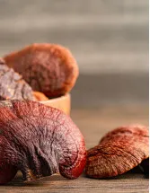 Reishi Mushroom Market by End-user, Type, and Geography - Forecast and Analysis 2022-2026