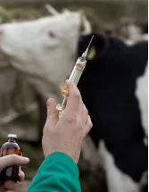 Animal Intestinal Health Market - North America, Europe, EMEA, APAC : US, Canada, China, Germany, UK - Forecast 2023-2027