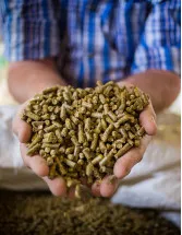 Ruminant Feed Market Analysis APAC,Europe,North America,South America,Middle East and Africa - US,China,Russia,Spain,Brazil - Size and Forecast 2023-2027