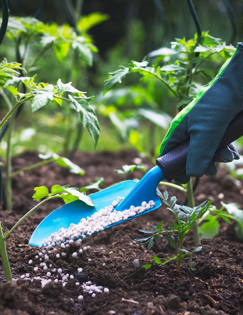 Fertilizers Market Analysis, Size, and Forecast 2025-2029: APAC (Australia, China, India, Japan, South Korea), North America (US and Canada), Europe (France, Russia), South America (Brazil), and Middle East and Africa