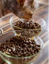 France Pet Food Market by Product, and Type - Forecast and Analysis 2023-2027