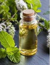 Mentha Oil Market by Application, Type, and Geography - Forecast and Analysis - 2023-2027