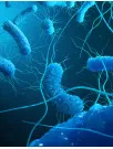 Clostridium Diagnostics Market by Technology, Product, End-user and Geography - Forecast and Analysis 2023-2027