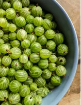 Gooseberry Products Market Analysis Europe, APAC, North America, South America, Middle East and Africa - US, India, China, Germany, Russia - Size and Forecast 2024-2028
