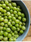 Gooseberry Products Market Analysis Europe,APAC,North America,South America,Middle East and Africa - US,India,China,Germany,Russia - Size and Forecast 2024-2028