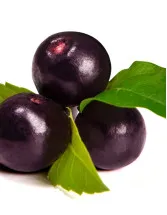 Acai Berry Market Analysis South America, Europe, North America, APAC, Middle East and Africa - US, Canada, Germany, UK, Brazil - Size and Forecast 2024-2028