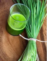 Wheatgrass Products Market Analysis North America, Europe, APAC, South America, Middle East and Africa - US, China, Japan, Germany, UK - Size and Forecast 2023-2027
