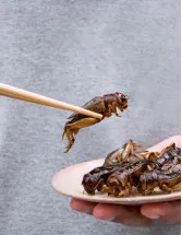 Insect Protein Market Analysis Europe, North America, APAC, Middle East and Africa, South America - US, China, South Korea, UK, Germany - Size and Forecast 2023-2027