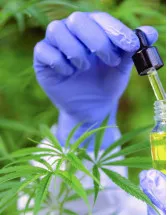 Cannabinoids Market by Application, Channel, and Geography - Forecast and Analysis 2023-2027