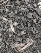 US-Biochar Market by Technology and Application - Forecast and Analysis 2023-2027