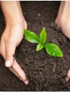 Soil Treatment Market by Type, Technology and Geography - Forecast and Analysis 2023-2027