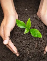 Soil Treatment Market by Type, Technology and Geography - Forecast and Analysis 2023-2027