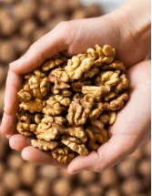 Walnut Market by Distribution Channel, Type and Geography - Forecast and Analysis 2023-2027