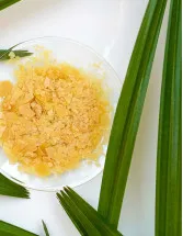 Carnauba Wax Market by Product, End-user and Geography - Forecast and Analysis 2023-2027