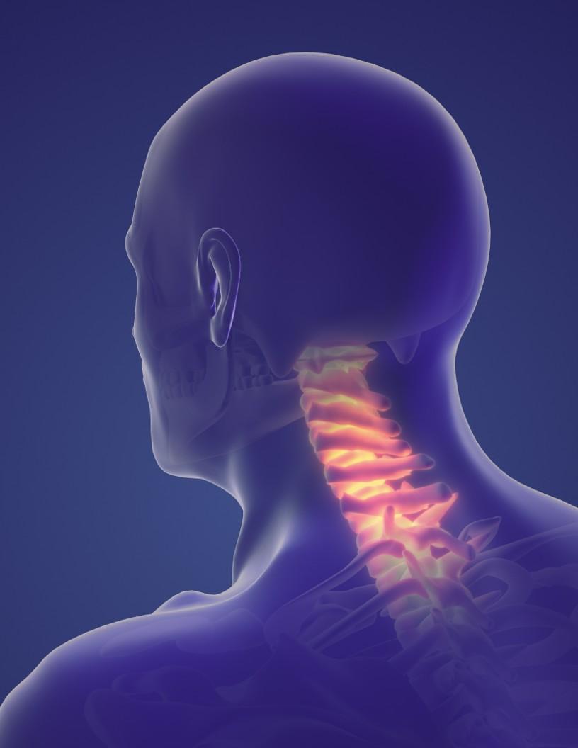 Spinal Trauma Devices Market Analysis North America, Europe, Asia, Rest of World (ROW) - US, UK, Canada, China, Japan, Germany, France, India, Italy, Switzerland - Size and Forecast 2025-2029
