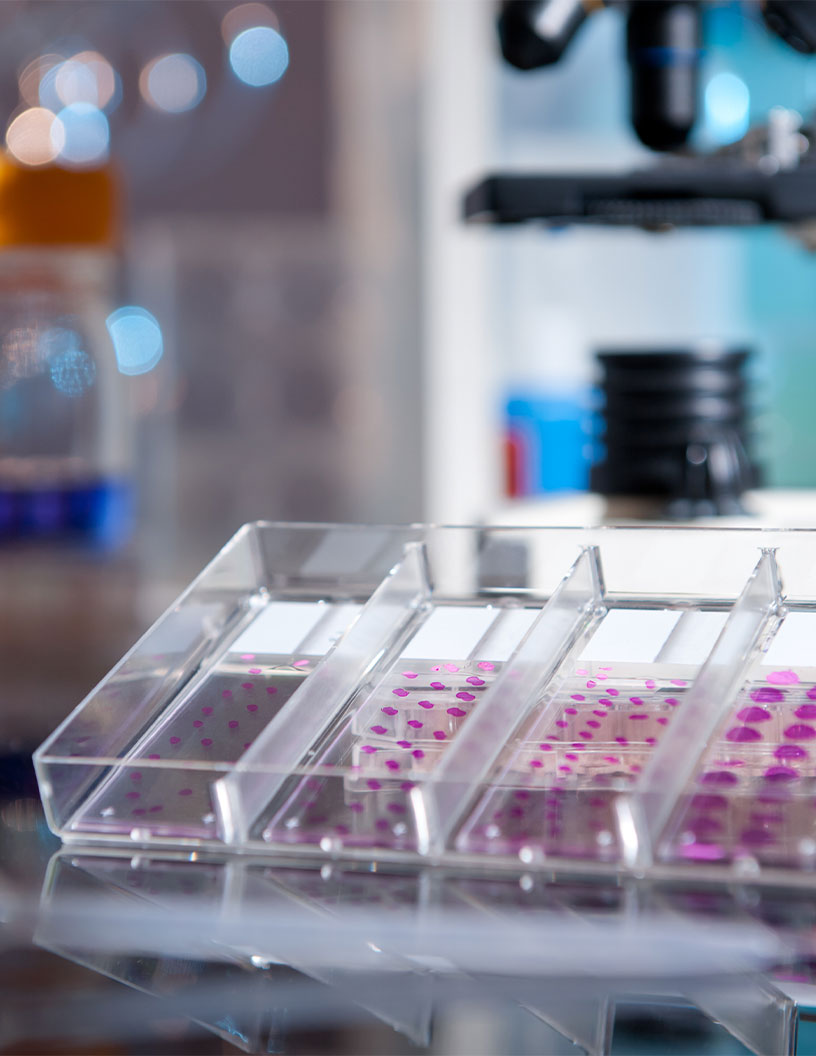 Immunohistochemistry (IHC) market Analysis North America, Europe, Asia, Rest of World (ROW) - US, Germany, France, UK, China - Size and Forecast 2024-2028