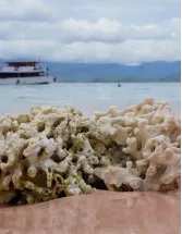 Marine Biopolymer Market by End-user, Source and Geography - Forecast and Analysis 2023-2027