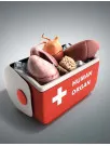 Organ Preservation Market Analysis North America, Europe, EMEA, APAC : US, Canada, China, Germany, UK - Size and Forecast 2023-2027