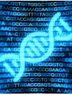 US - Genomics Market by Application, End-user, and Solution - Forecast and Analysis - 2023-2027